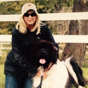 Meet your Posher, Susan